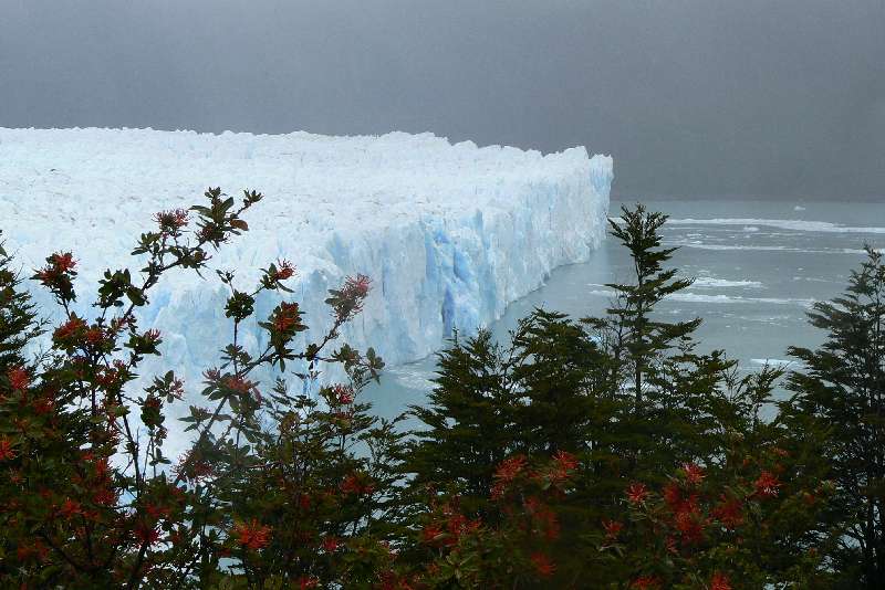 30 Ghiacciaio Perito Moreno